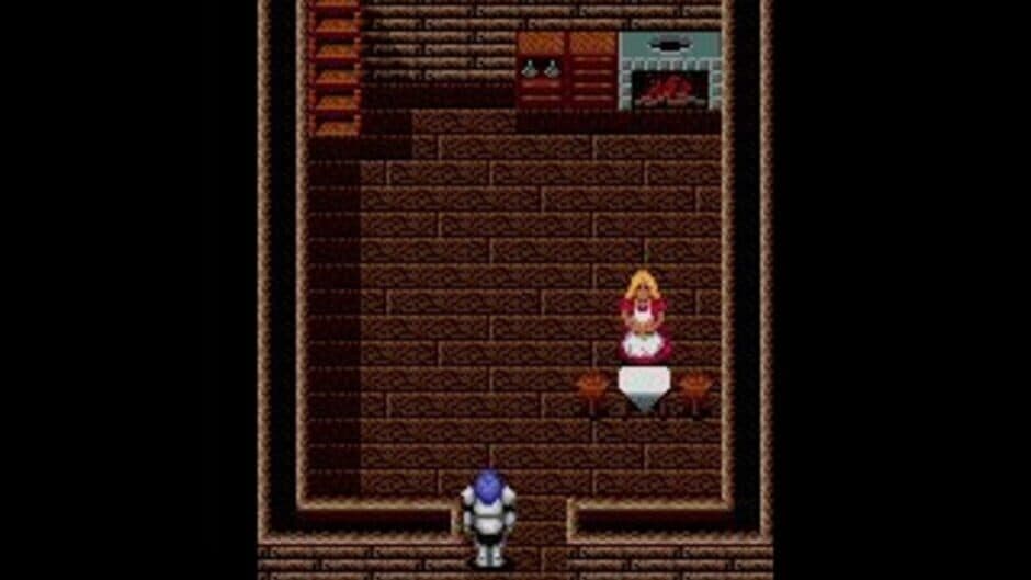 Скриншот 2 из Sword of Vermilion