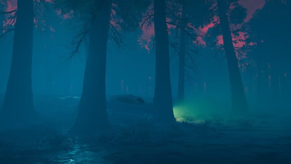 Скриншот 1 из The Woods
