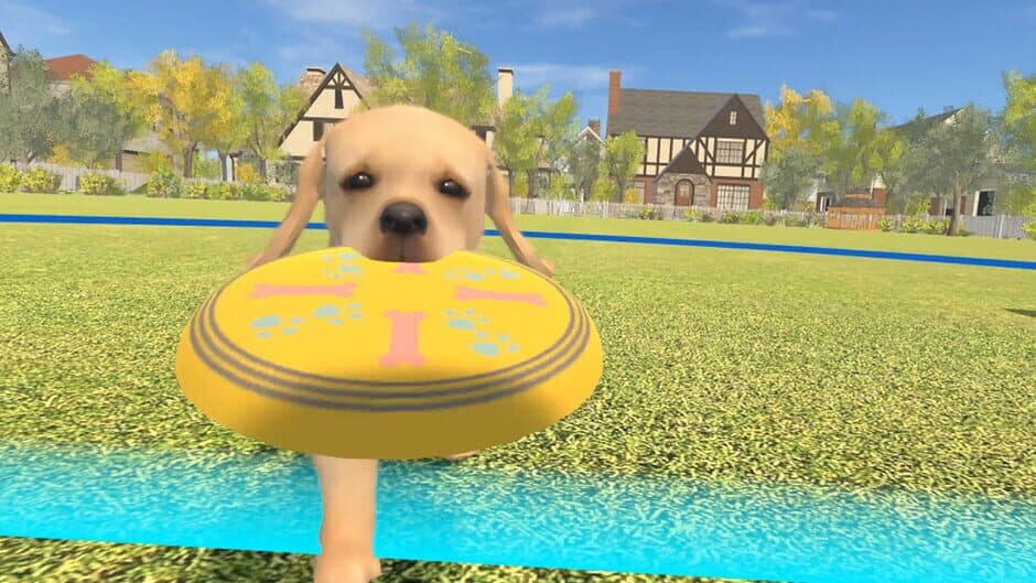 Скриншот 4 из Dream Pet VR