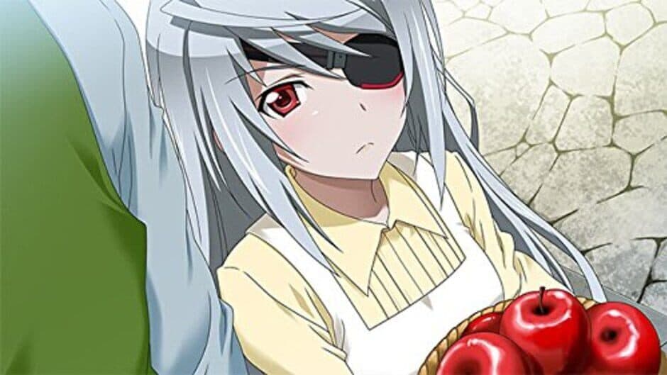 Скриншот 5 из Infinite Stratos 2: Love and Purge