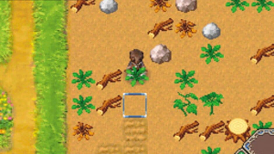 Скриншот 6 из Rune Factory: A Fantasy Harvest Moon