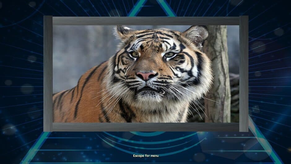 Скриншот 5 из Trials of the Illuminati: Amazing Wildlife Jigsaws