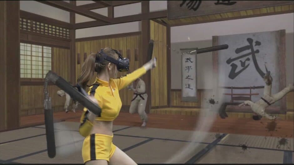 Скриншот 1 из Kung Fu All-Star VR