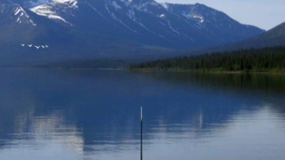 Скриншот 5 из Reel Fishing: Angler's Dream