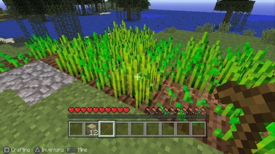 Скриншот 1 из Minecraft: Playstation Vita Edition