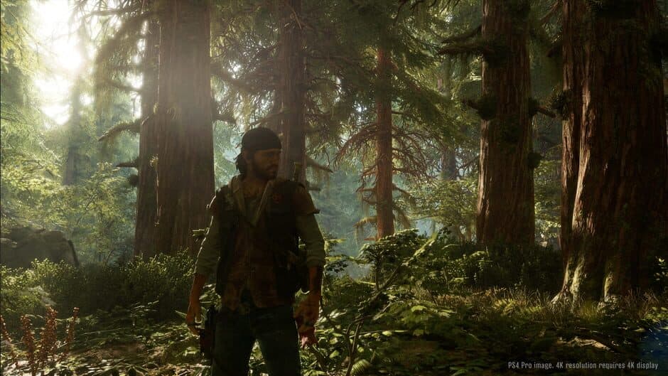 Скриншот 3 из Days Gone