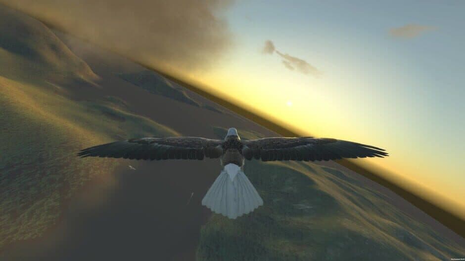 Скриншот 3 из Aquila Bird Flight Simulator