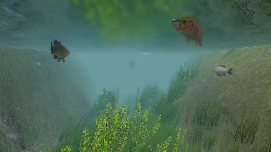 Скриншот 3 из European Fishing