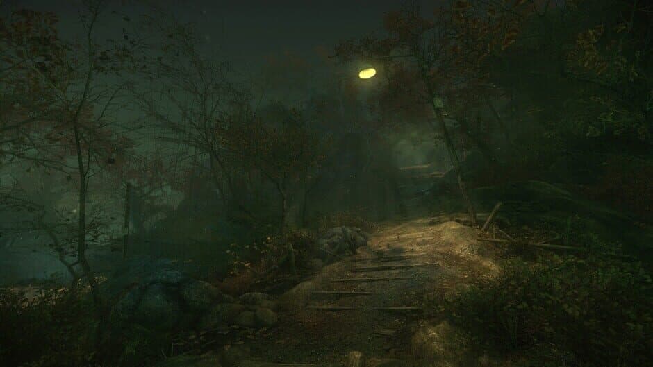 Скриншот 4 из The Cursed Forest