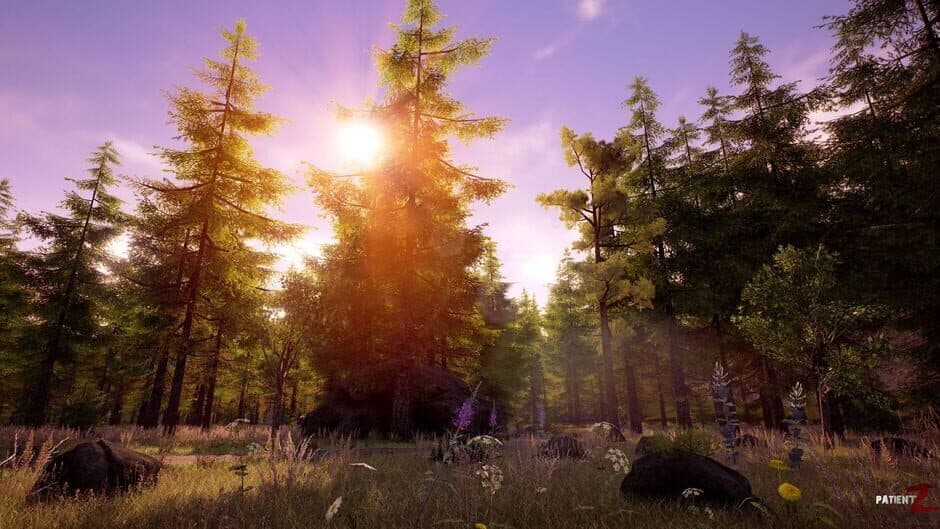 Скриншот 2 из PatientZ: Survivalist