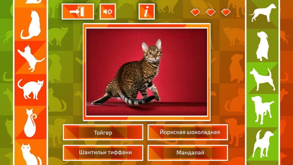 Скриншот 2 из JQ: dogs & cats