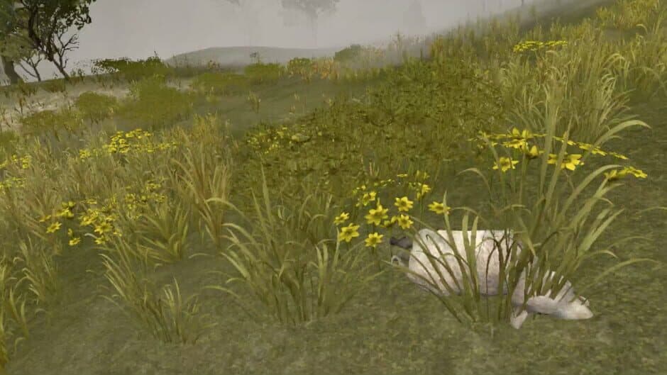 Скриншот 5 из Wild Game Hunter VR