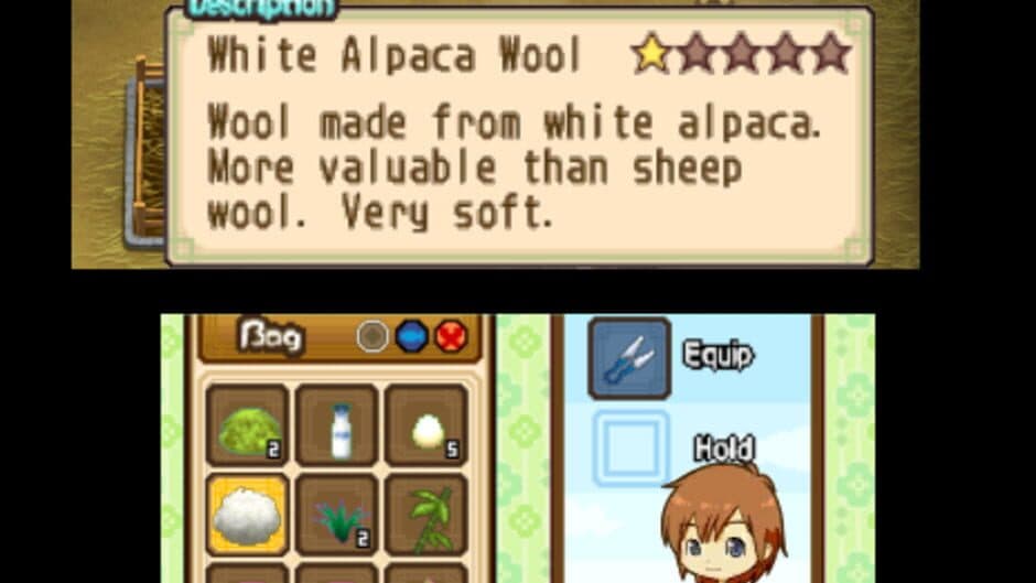 Скриншот 4 из Harvest Moon: The Tale of Two Towns