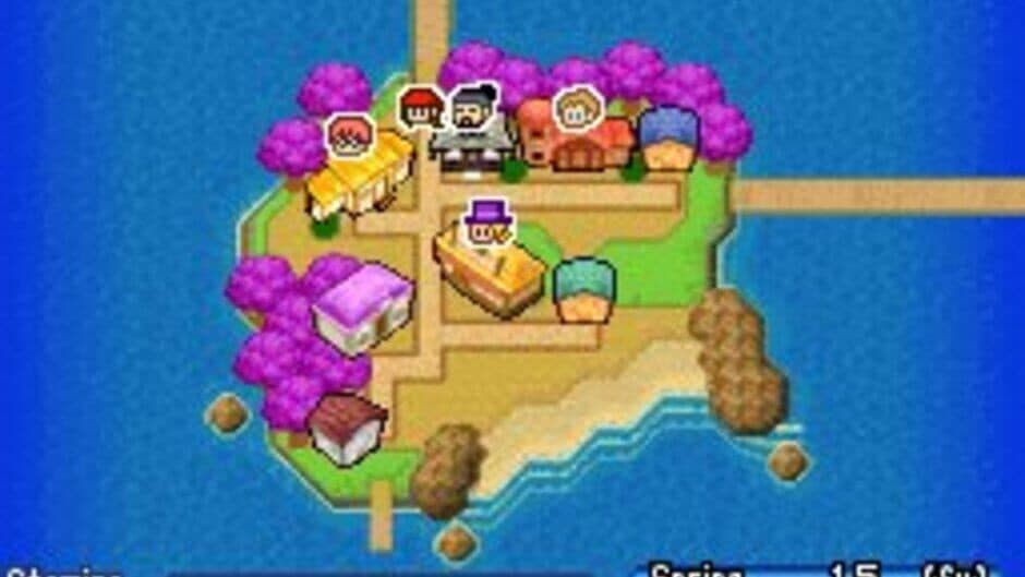 Скриншот 1 из Harvest Moon DS: Sunshine Islands