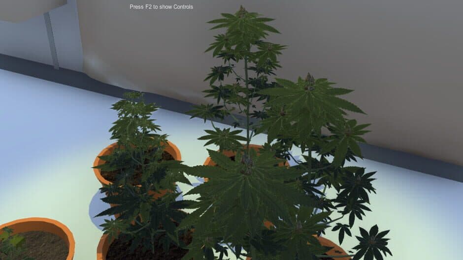 Скриншот 4 из Dr GreenStuff