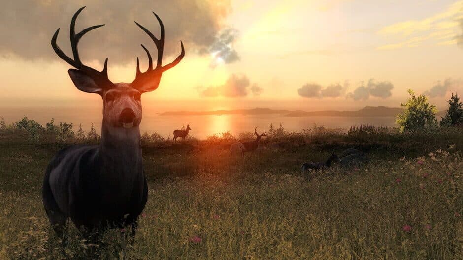 Скриншот 3 из TheHunter Classic