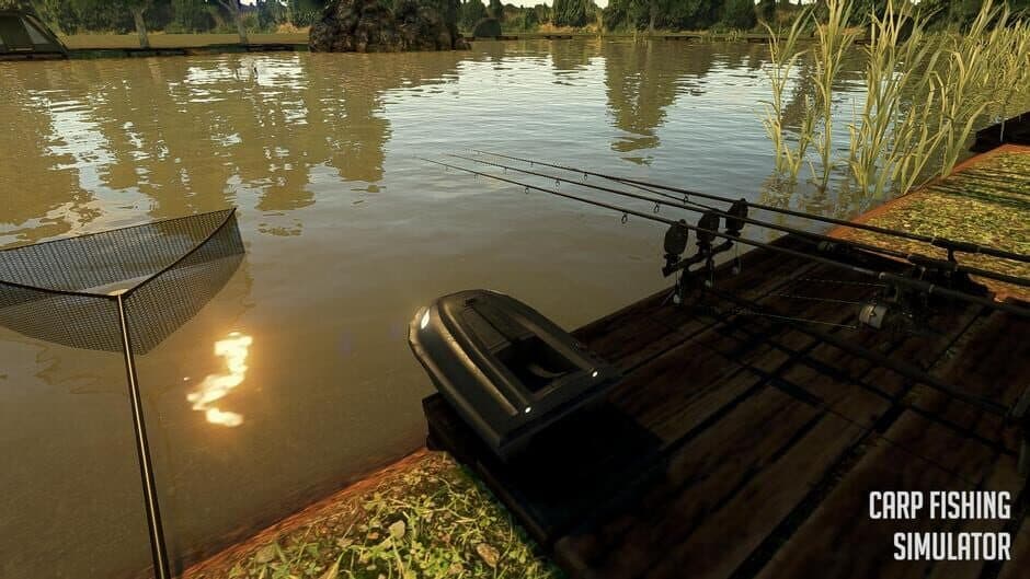 Скриншот 4 из Carp Fishing Simulator