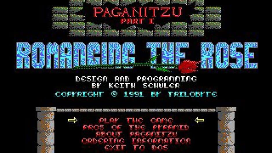 Скриншот 1 из Paganitzu