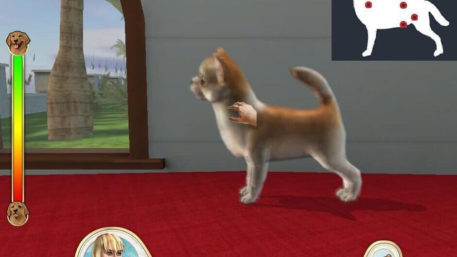 Скриншот 5 из Paws & Claws: Pampered Pets