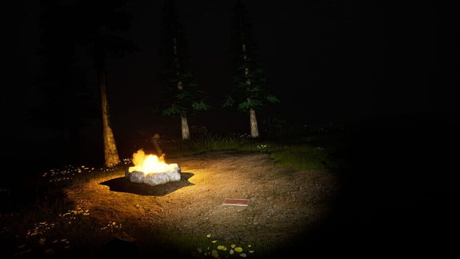 Скриншот 5 из Study of Unusual: Forest of Secrets