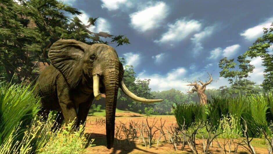 Скриншот 3 из Cabela's Hunting Expeditions