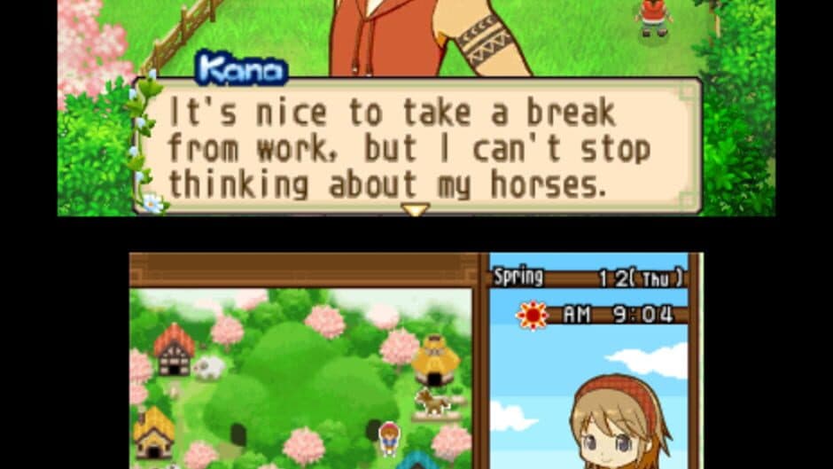 Скриншот 10 из Harvest Moon: The Tale of Two Towns