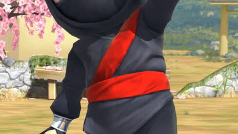 Скриншот 5 из Clumsy Ninja