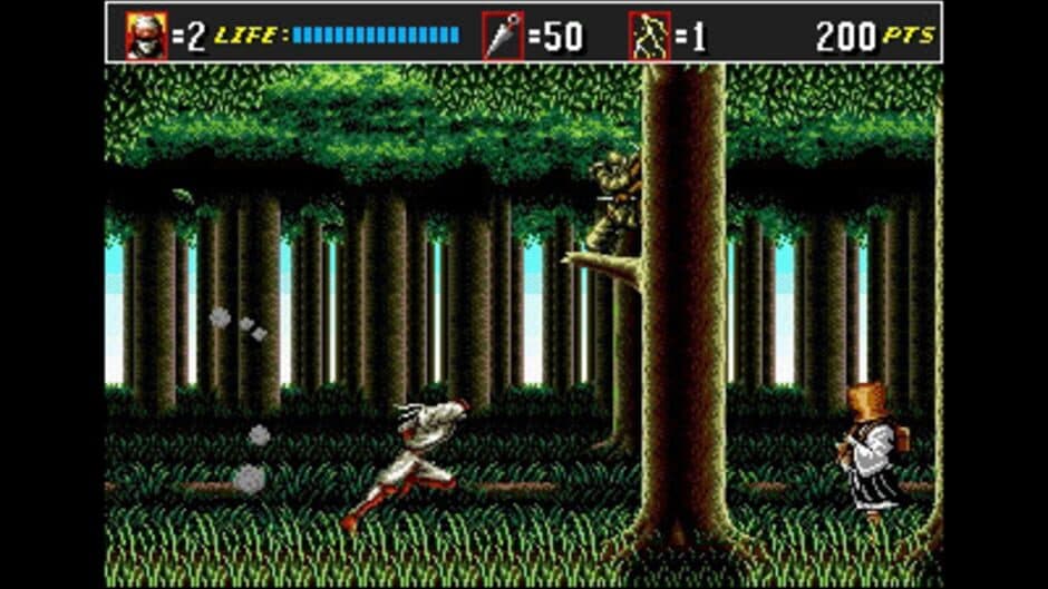 Скриншот 4 из 3D Shinobi III: Return of the Ninja Master