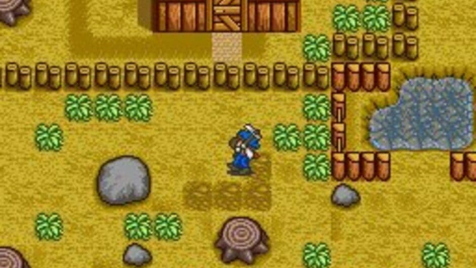 Скриншот 11 из Harvest Moon