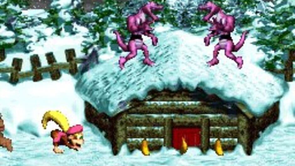 Скриншот 4 из Donkey Kong Country 3: Dixie Kong's Double Trouble!