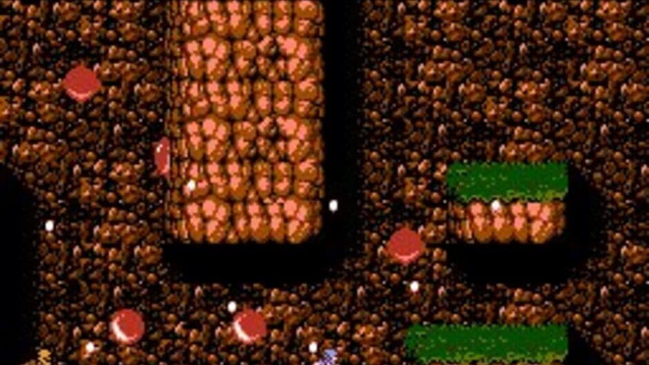 Скриншот 2 из Ninja Gaiden II: The Dark Sword of Chaos