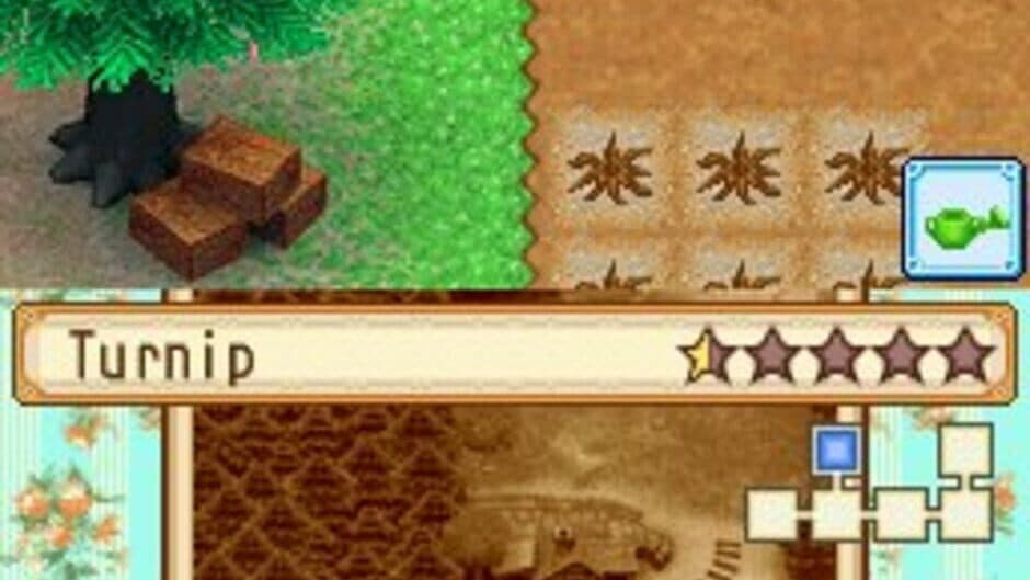 Скриншот 7 из Harvest Moon DS: Grand Bazaar