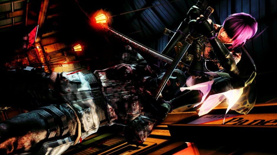 Скриншот 9 из Ninja Gaiden 3: Razor's Edge