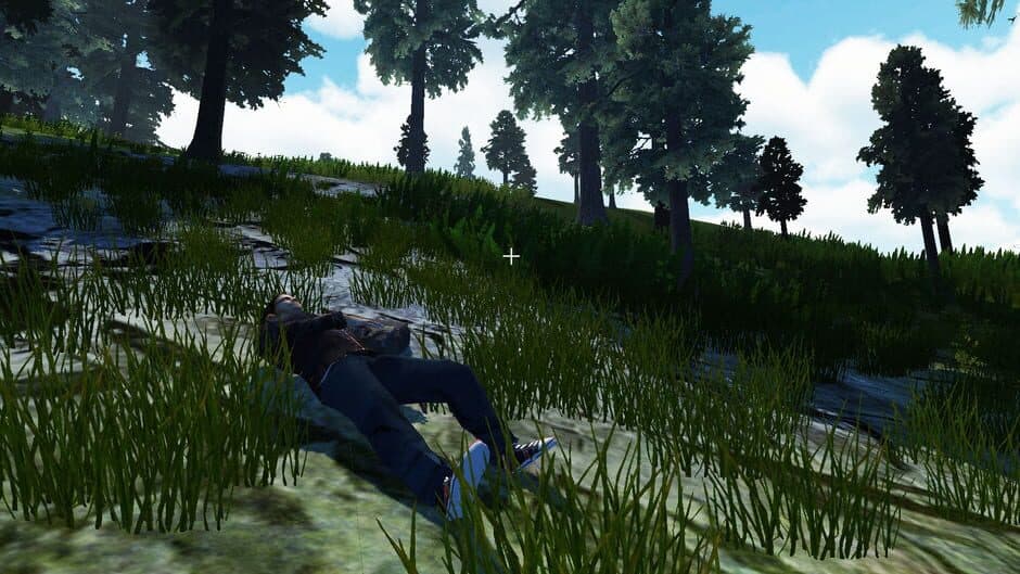 Скриншот 2 из Recovery Search and Rescue Simulation