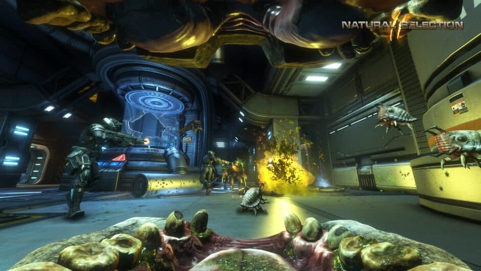 Скриншот 4 из Natural Selection 2 - Deluxe DLC