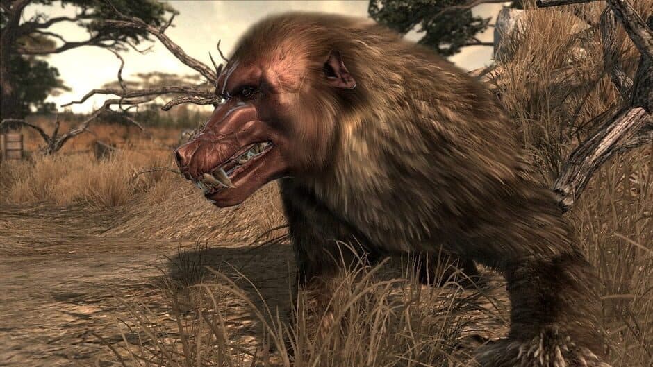 Скриншот 1 из Cabela's Dangerous Hunts 2011