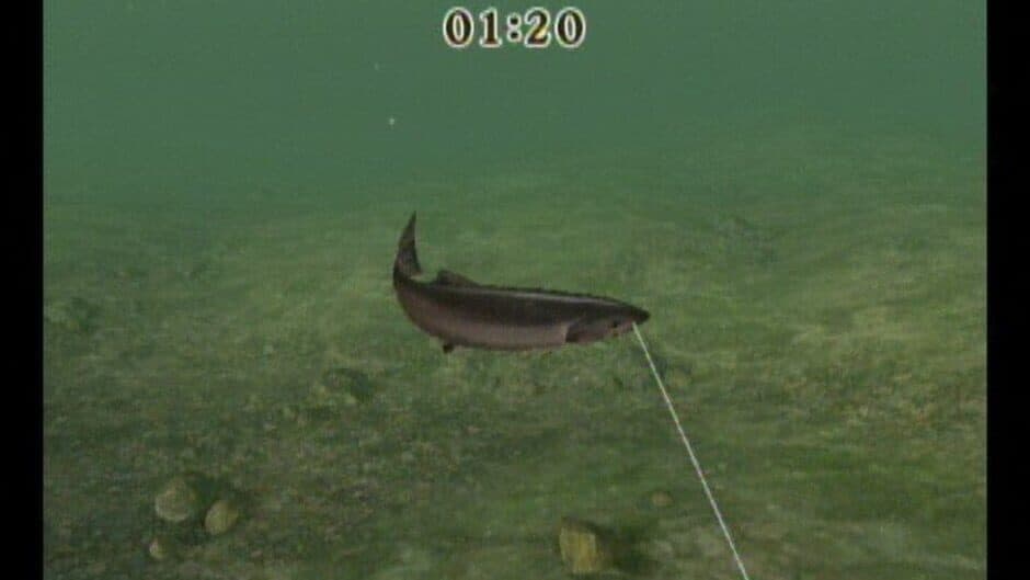 Скриншот 9 из Reel Fishing Challenge