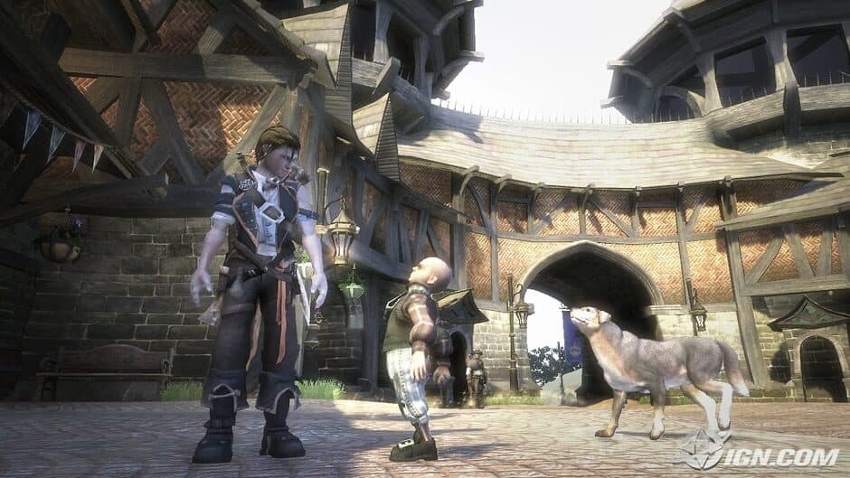 Скриншот 1 из Fable II
