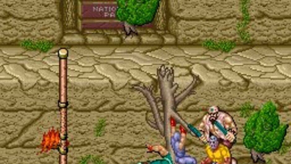 Скриншот 7 из Ninja Gaiden
