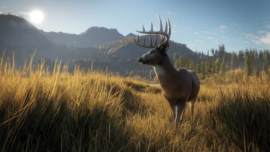 Скриншот 7 из TheHunter: Call of the Wild