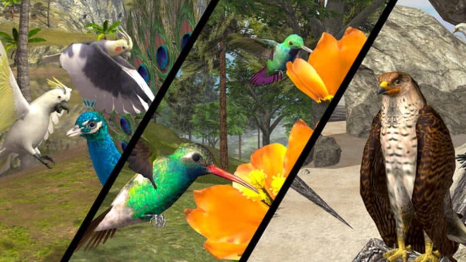 Скриншот 8 из Ultimate Bird Simulator