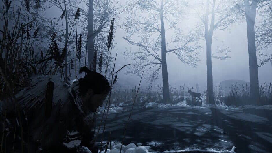 Скриншот 10 из Fade to Silence