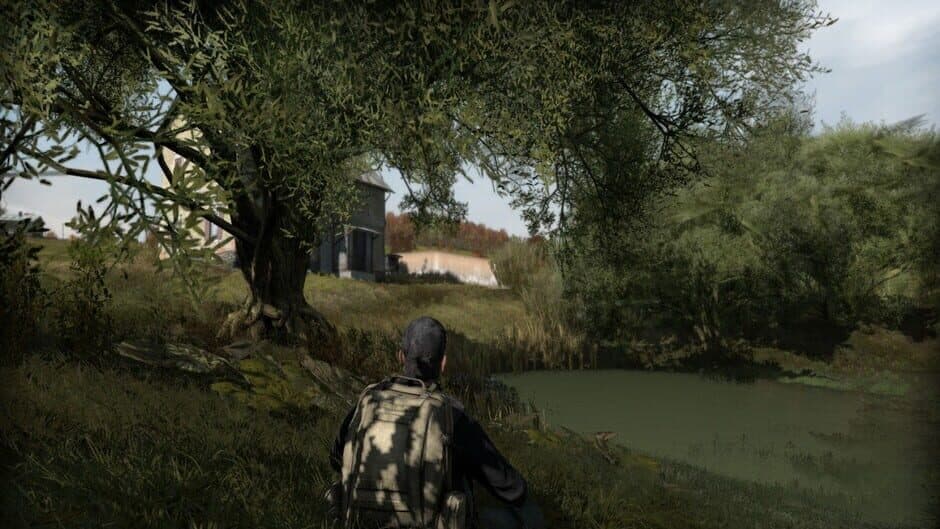 Скриншот 4 из Arma II: DayZ
