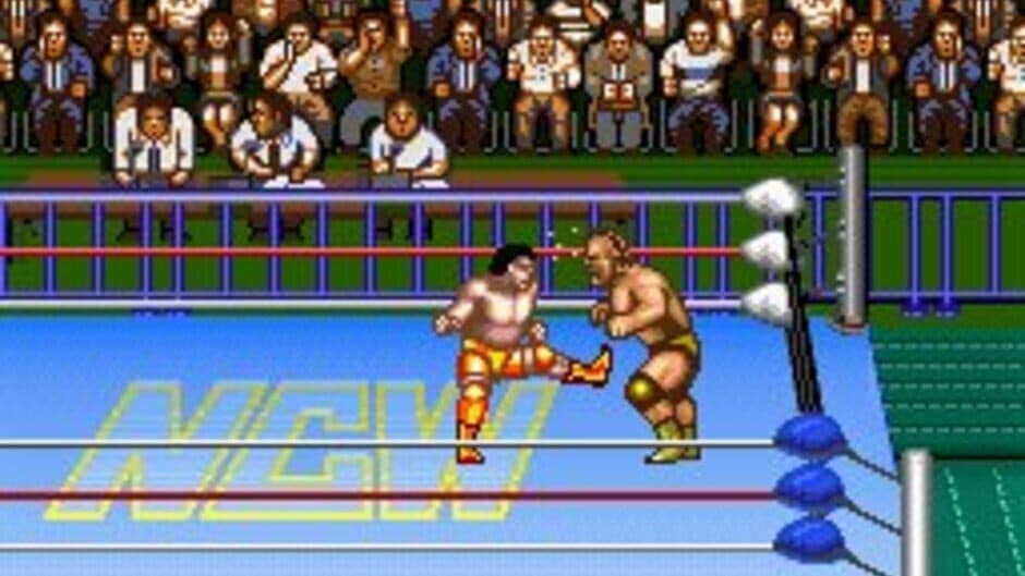 Скриншот 2 из Natsume Championship Wrestling