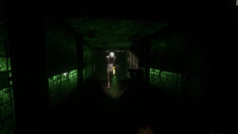 Скриншот 4 из Phantasmal: City of Darkness