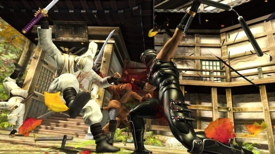 Скриншот 3 из Ninja Gaiden Sigma