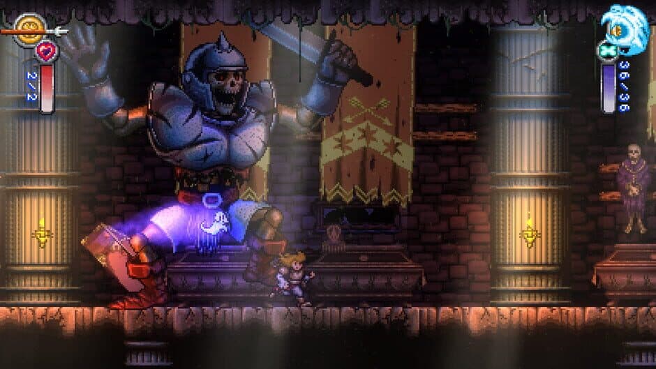 Скриншот 9 из Battle Princess Madelyn