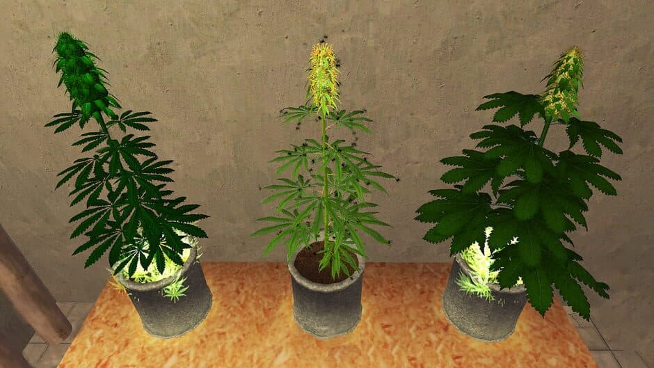 Скриншот 2 из Weed Shop 2