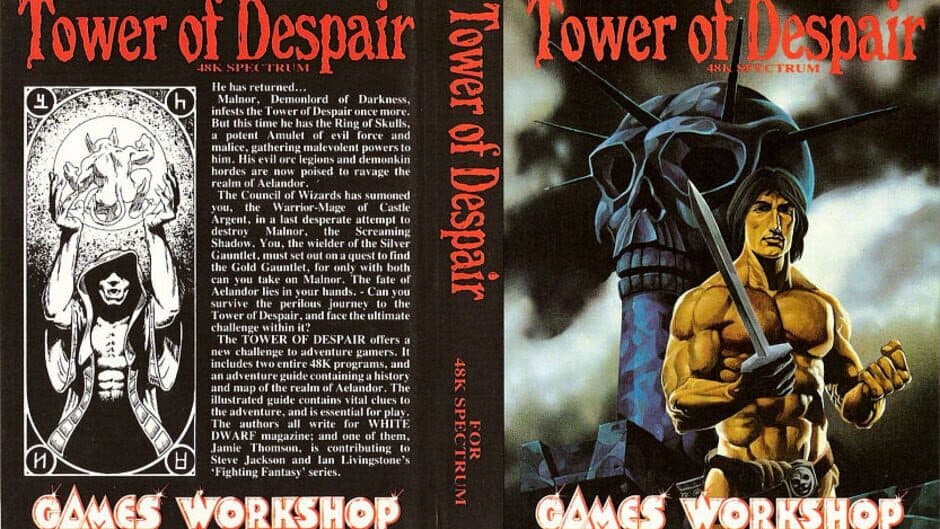 Скриншот 1 из Tower of Despair