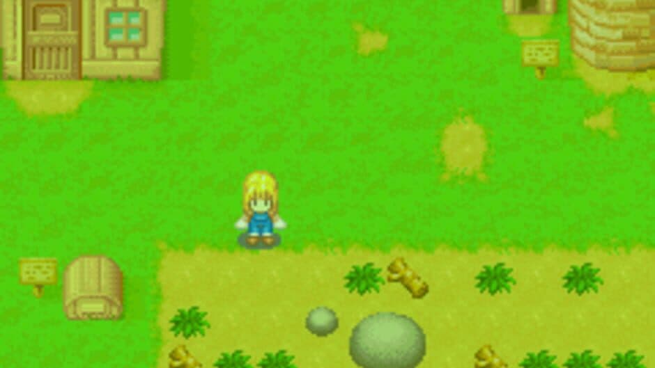 Скриншот 4 из Harvest Moon: More Friends of Mineral Town
